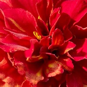 Meet your Posher, Kerry